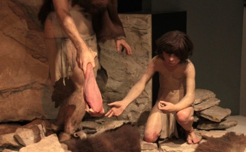 A neandervölgyi ember azért halhatott ki, mert nem ismerte fel a tűz jelentőségét