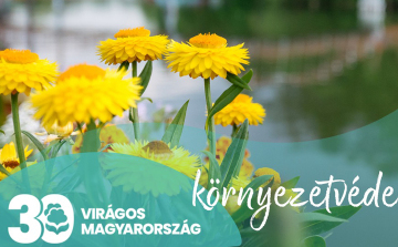 Kiosztották a Virágos Magyarország 2023-as elismeréseket