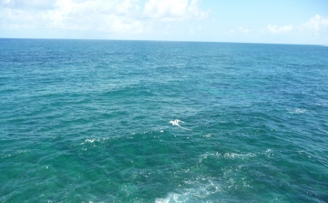 Az óceánok savasodásának mértékét vizsgálják